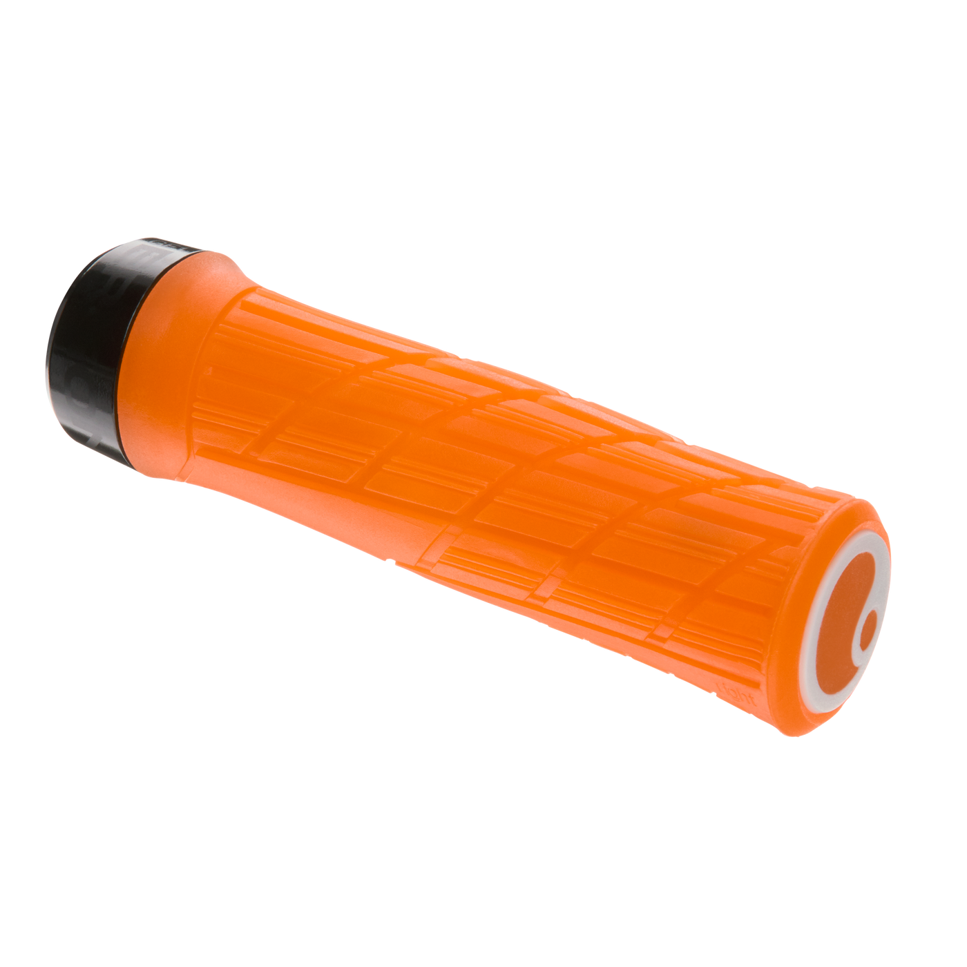 Ergon GE1 EVO Factory Grips