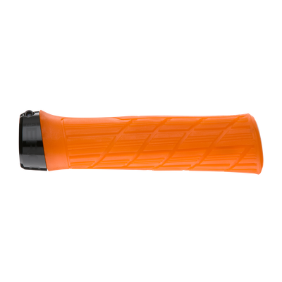 Ergon GE1 EVO Factory Grips