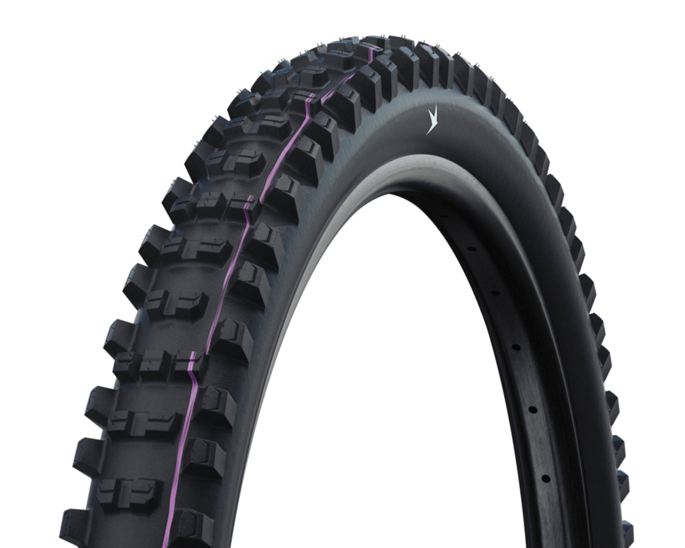 Schwalbe Shredda Rear 29