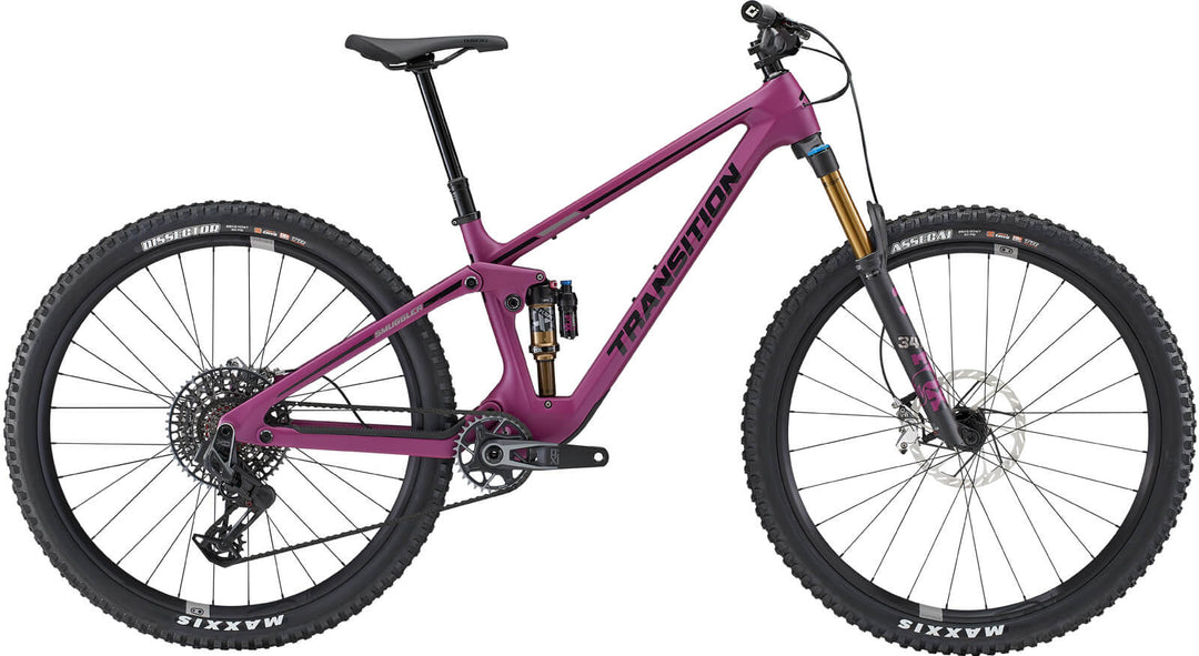 Transition sentinel for sale online